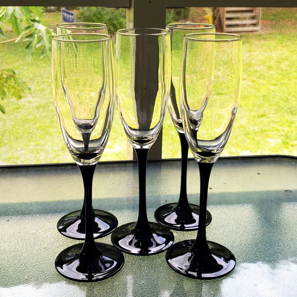 5 pc bundle crystal champagne flutes